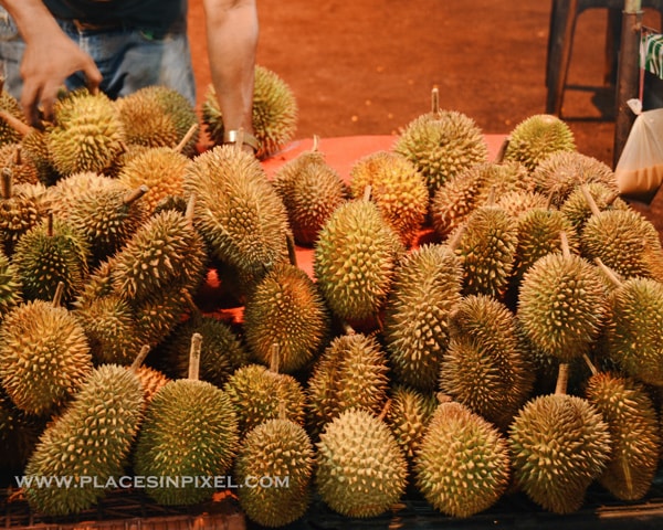 durian friut malaysia