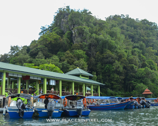 mangrove tour in Langkawi
