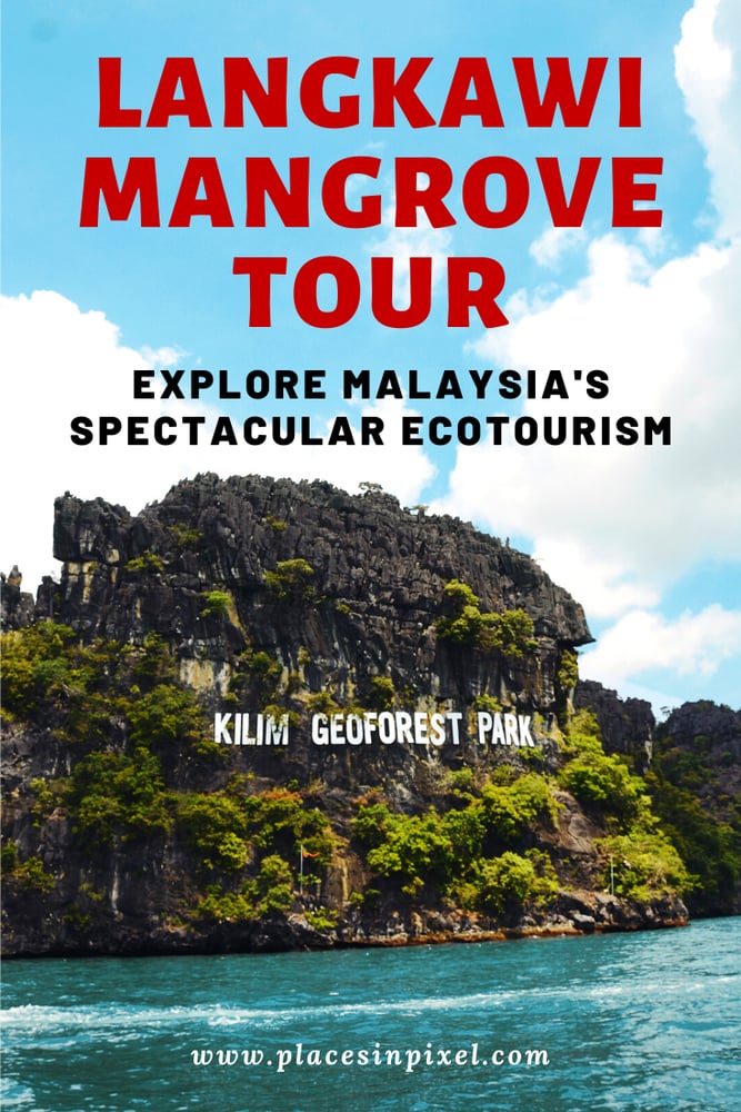 Langkawi Mangrove Tour