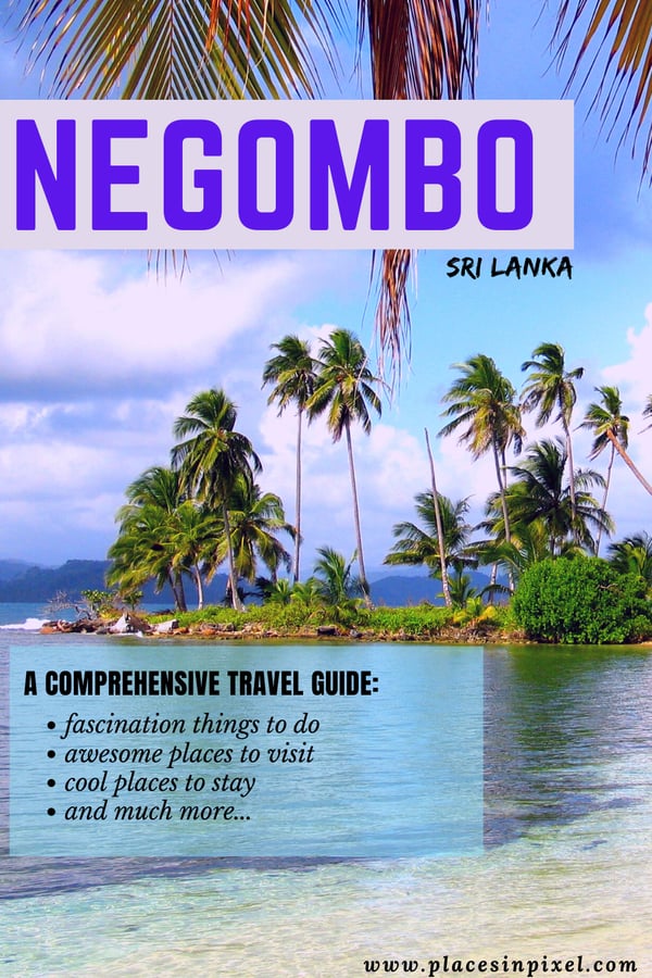 things to do in negombo